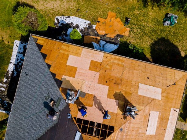 Best Shingle Roofing Installation  in Fitzgerald, GA